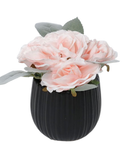 טען תמונה לצפייה בגלריה, עציץ ורדים בכלי קרמיקה - 2 צבעים-עציץ-GOLYAN-שחור-סופר הום