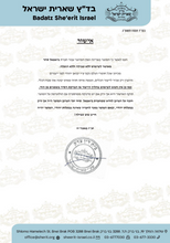 Load image into Gallery viewer, סיר נירוסטה 26 ס"מ , 6.2 ליטר EVERYDAY+ STAINLESS-סירי נירוסטה-Food Appeal-סופר הום