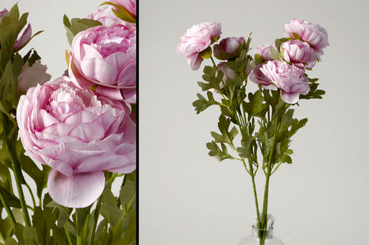 בוקט 3 פרחי כלניות בצבע סגול בהיר-GOLYAN-סופר הום