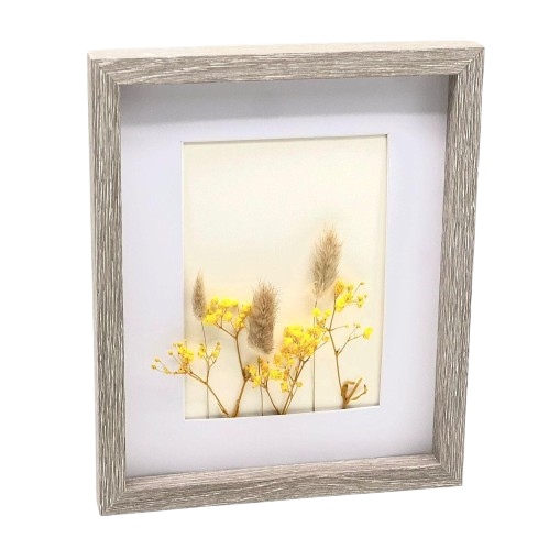 דקורציה לקיר בשילוב צמחיה מיובשת-תמונה דקורטיבית-SUPERHOME סופרהום-סופר הום