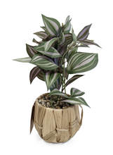 טען תמונה לצפייה בגלריה, צמח בית מלאכותי RGIFT - מגוון צבעים-SUPERHOME סופרהום-ירוק+סגול-סופר הום