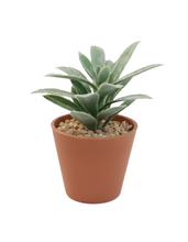 טען תמונה לצפייה בגלריה, עציץ סוקולנט מלאכותי - מגוון צבעים-ציפורה-חום-סופר הום