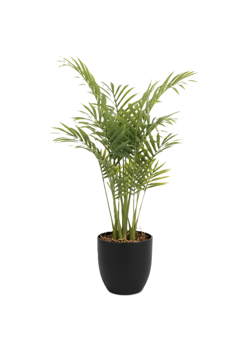 עציץ נוי – דגם חרק-KashGan-סופר הום