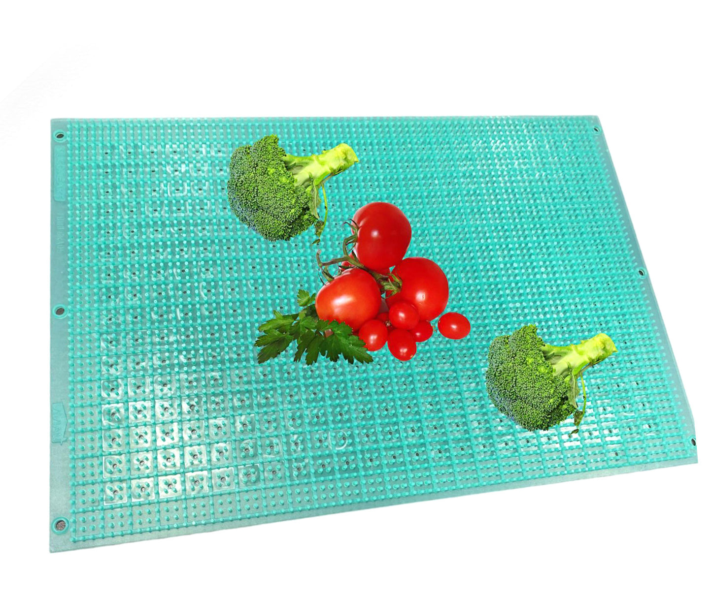 מצע סיליקון לפירות וירקות-מצע לפירות וירקות-Siliconeart-סופר הום