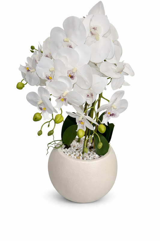 סחלב מלאכותי ענק בשילוב במבוק בכלי עגול דקורטיבי 82 ס״מ-ציפורה-סופר הום