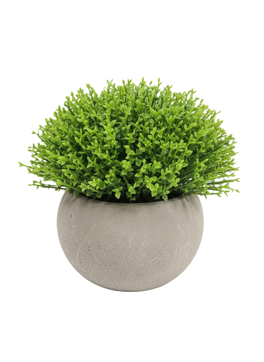 עציץ מלאכותי קטן בכלי דמוי בטון-א. לויזון-סופר הום