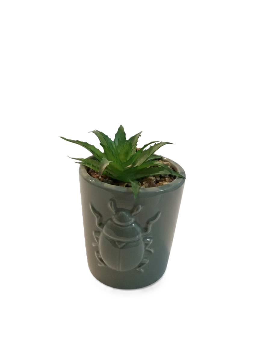 עציץ נוי הטבעה-סקטור אפיקים-סופר הום