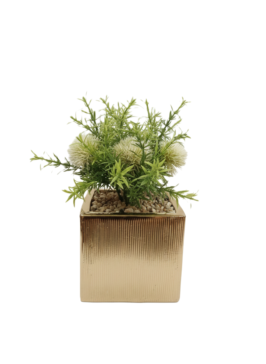 עציץ עץ - דגם ריבוע-ציפורה-סופר הום