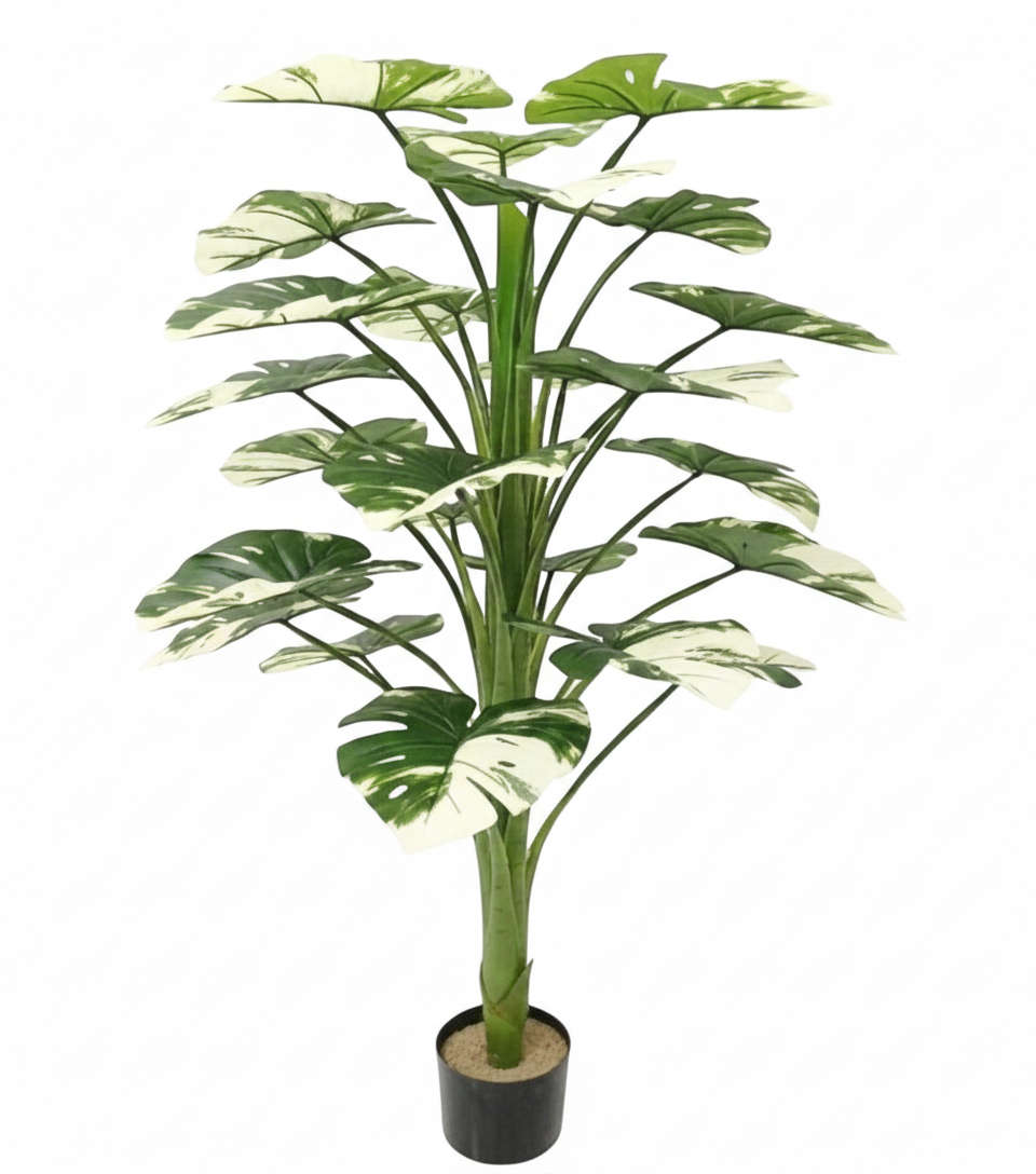 עץ מונסטרה ירוק לבן 120 ס״מ-ציפורה-סופר הום