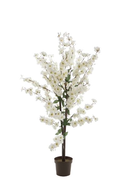 עציץ שקדיה 120 ס"מ-SUPERHOME סופרהום-סופר הום