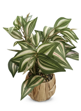 טען תמונה לצפייה בגלריה, צמח בית מלאכותי RGIFT - מגוון צבעים-SUPERHOME סופרהום-ירוק+צהוב+ורוד-סופר הום
