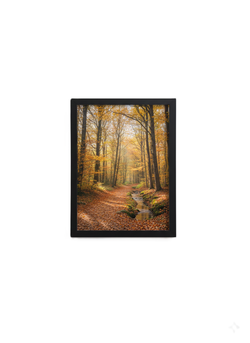 מסגרת לתמונה 29.7*21 - A4-מסגרת לתמונה-האומנים-סופר הום