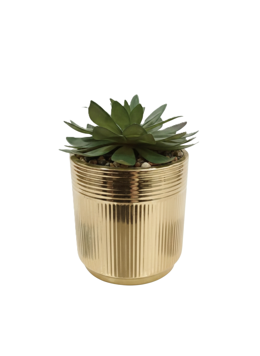 עציץ סוקולנט מלאכותי בכלי מוזהב-ציפורה-סופר הום