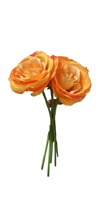 צרור 6 נוריות צבעונים-SUPERHOME סופרהום-סופר הום