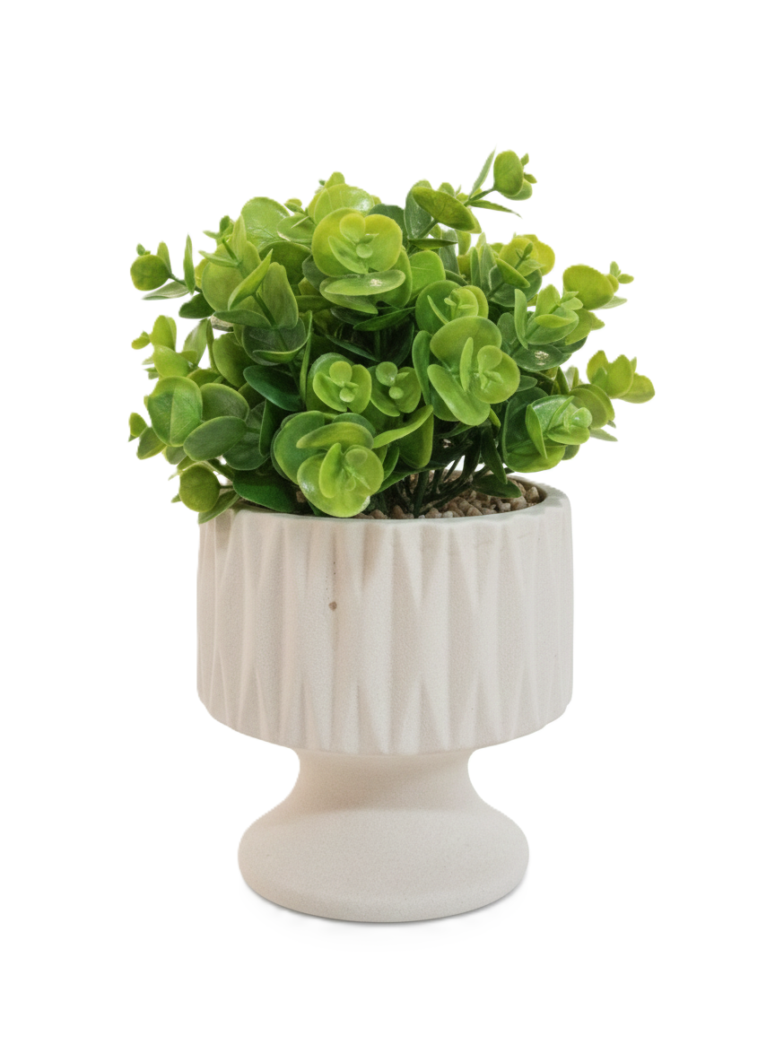 עציץ קרמיקה ירוקים - דגם גביע-ציפורה-סופר הום