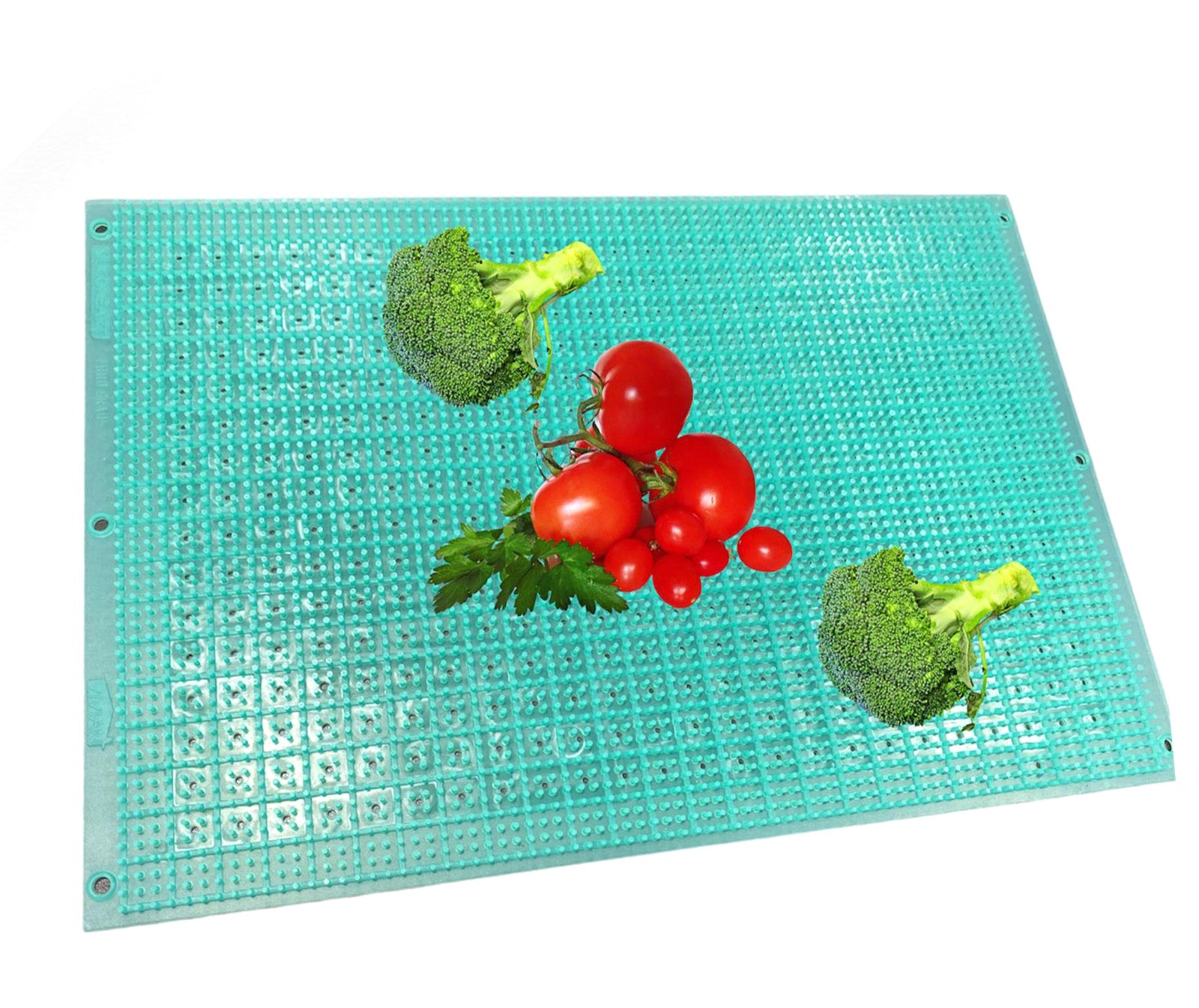מצע סיליקון לפירות וירקות-מצע לפירות וירקות-Siliconeart-סופר הום