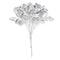כסף